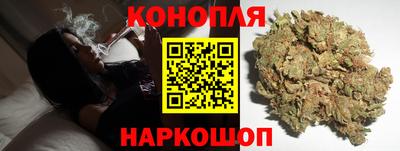 индика Аргун