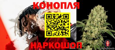 индика Аргун