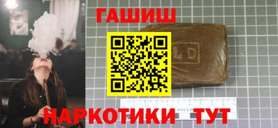 стаф Дубна