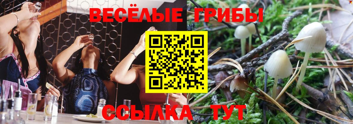 Галлюциногенные грибы Psilocybine cubensis  Вход с VPN  Псилоцибиновые грибы GOLDEN TEACHER  Бийск 